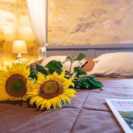 Votre Nid Douillet, Au Coeur Du Village Medieval De Apartmán Beynac-et-Cazenac